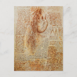 The Heart and the Bronchial Arteries Parchment Postcard