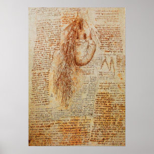 The Heart and the Bronchial Arteries Poster