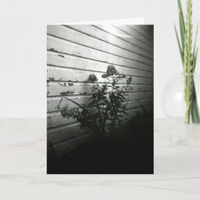 The heart asks pleasure first card (Front)