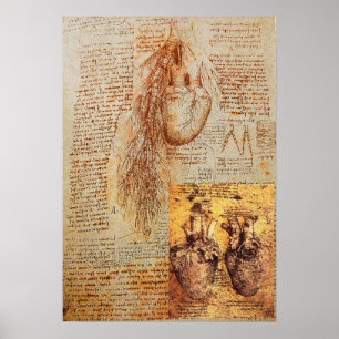 The Heart,Bronchial Arteries And Its Blood Vessels Poster