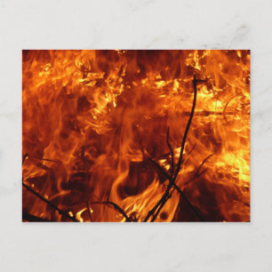 The Heart of the Fire Postcard