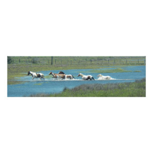 The Herd by Leslie Peppers Photo Print