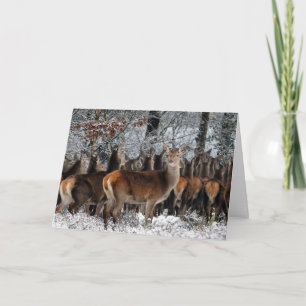 The Herd of Deer Valentine Card