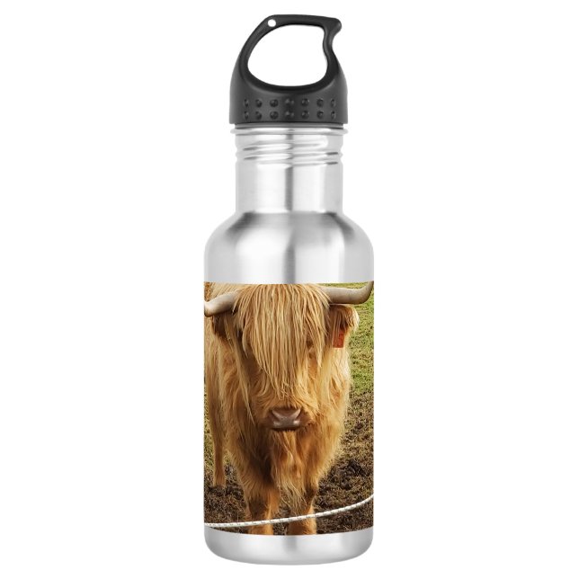 The Highland Cow 710 Ml Water Bottle (Front)