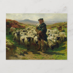 The Highland Shepherd by Rosa Bonheur Postcard