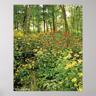 The Hills are Alive with Wildflowers Poster