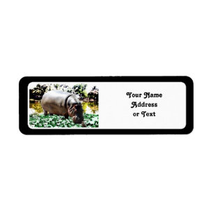 The Hippo And The Bird Return Address Label