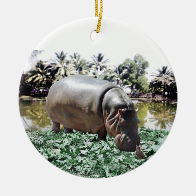 The Hippo & Bird Ceramic Tree Decoration (Front)