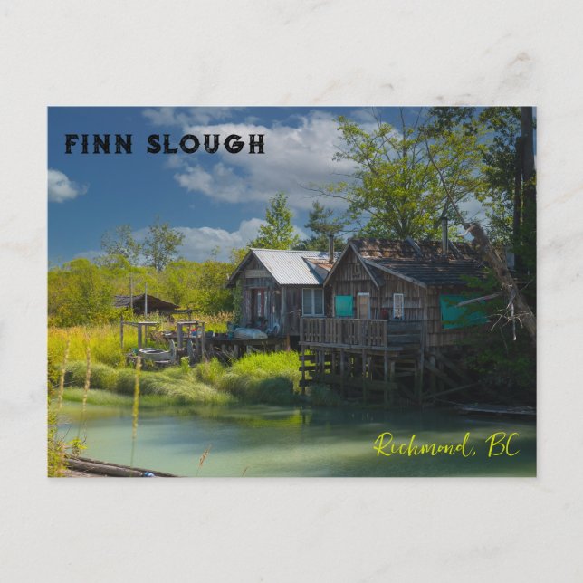 The historic fishing village of Finn Slough Postcard (Front)