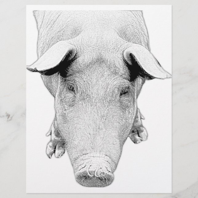 The Hog in Black and White (Front)