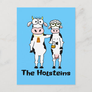 The Holsteins Postcard