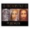 THE HOLY FACE OF JESUS
