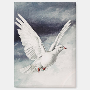 The holy spirit in the form of a Dove Magnet
