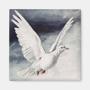 The holy spirit in the form of a Dove Magnet