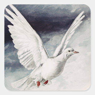 The holy spirit in the form of a Dove Square Sticker