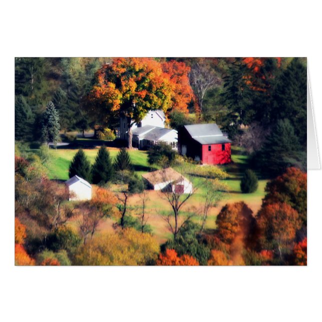 The Homestead (Front Horizontal)
