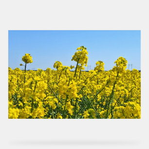 The Horizon Line - Colours of Wild Nature Romania Acrylic Sign