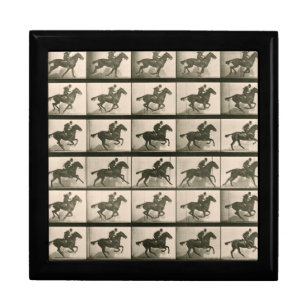 The Horse in Motion Early Vintage Motion Picture Gift Box