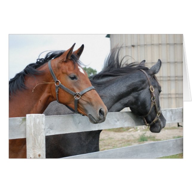 The Horse Lovers (Front Horizontal)