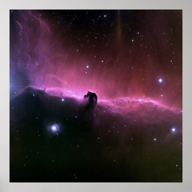 The Horsehead Nebula Poster (Front)