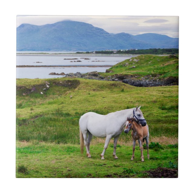 The Horses of Connemara | Galway, Ireland Ceramic Tile (Front)
