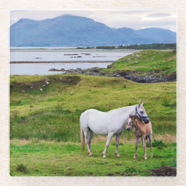 The Horses of Connemara | Galway, Ireland Glass Coaster (Front)