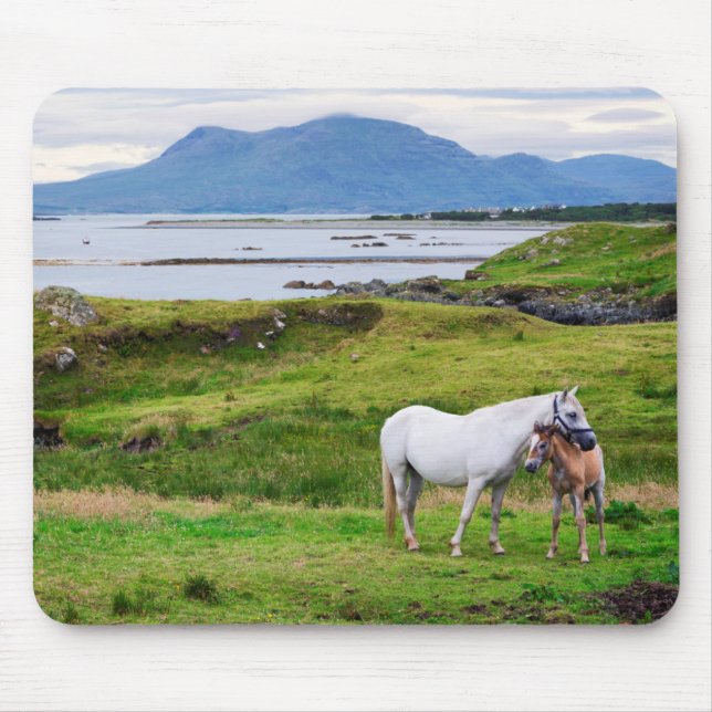 The Horses of Connemara | Galway, Ireland Mouse Pad (Front)