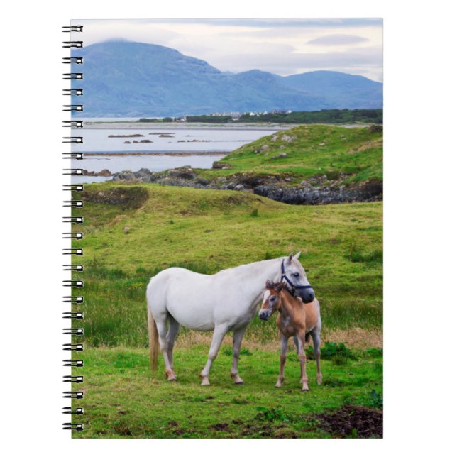The Horses of Connemara | Galway, Ireland Notebook (Front)