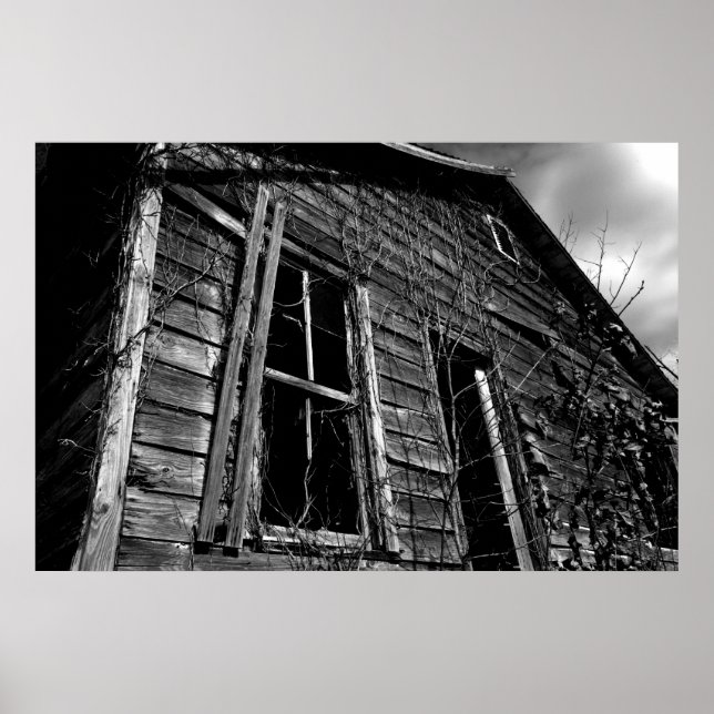 The house poster (Front)