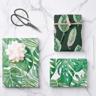 The huge leaves of palm trees and monstera wrapping paper sheet