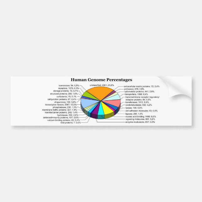 The Human Genome with Number and Percent of Each Bumper Sticker (Front)