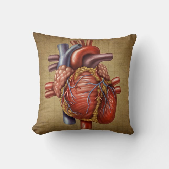 The Human Heart Pillow (Front)