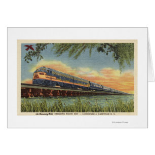 The Humming Bird Railroad Train