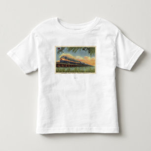 The Humming Bird Railroad Train Toddler T-Shirt
