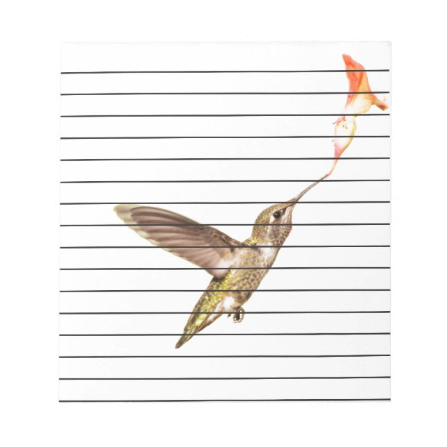 The hummingbird  and the flower notepad (Front)