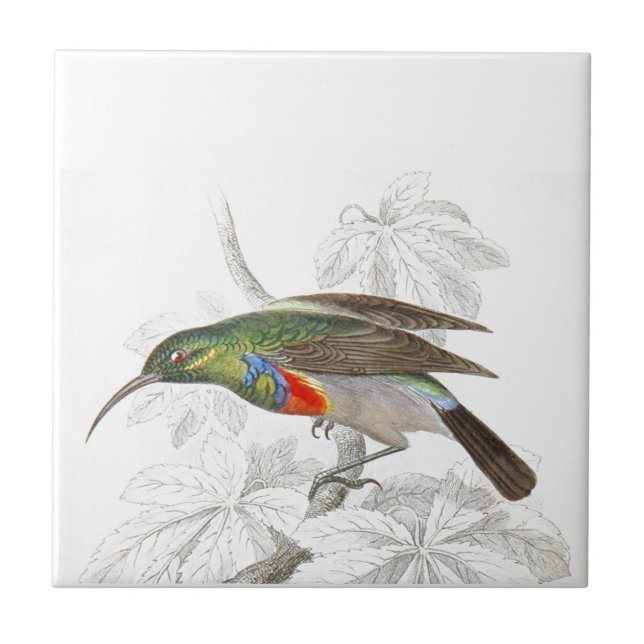 The Hummingbird Ceramic Tile (Front)