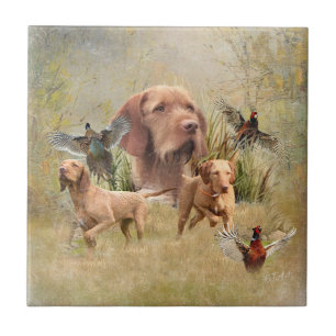 The Hungarian Wirehaired Vizsla Ceramic Tile