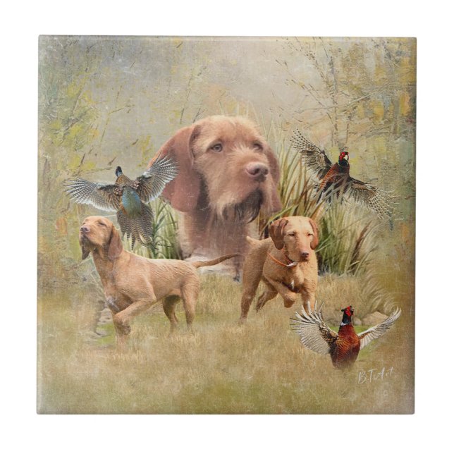 The Hungarian Wirehaired Vizsla  Ceramic Tile (Front)