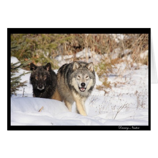 The Hunt (Front Horizontal)