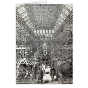The Hunterian Museum