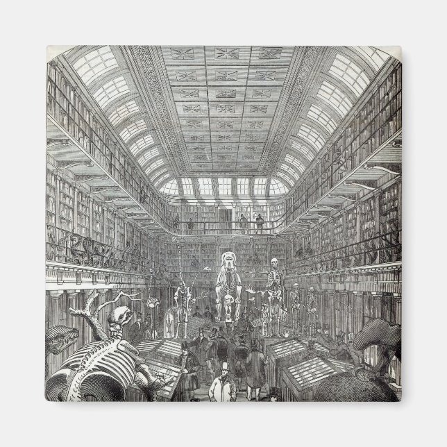 The Hunterian Museum Magnet (Front)