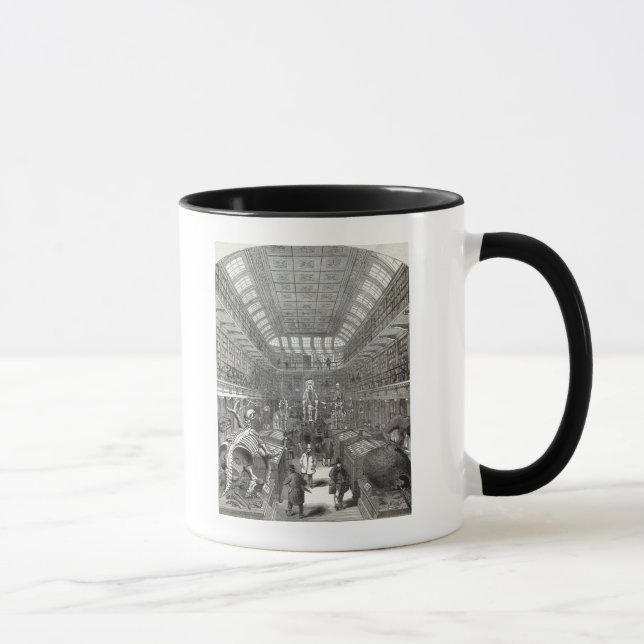 The Hunterian Museum Mug (Right)