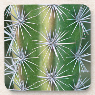 The Huntington Botanical Garden, Octopus Cactus Coaster