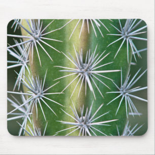 The Huntington Botanical Garden, Octopus Cactus Mouse Pad