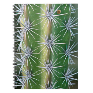 The Huntington Botanical Garden, Octopus Cactus Notebook