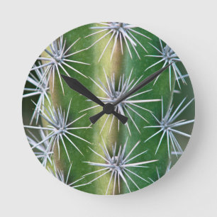 The Huntington Botanical Garden, Octopus Cactus Round Clock