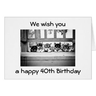 THE HUSKY GANG WISHES YOU A HAPPY 4Oth BIRTHDAY