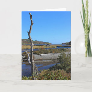 The Hut in Goose Cove Card