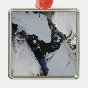 The ice island metal tree decoration