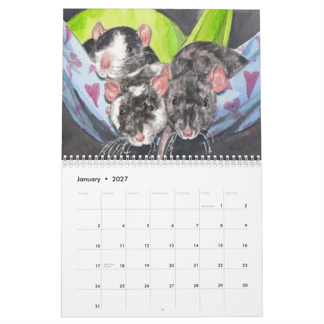 The Illustrated Rat 2013 Calendar (Jan 2027)